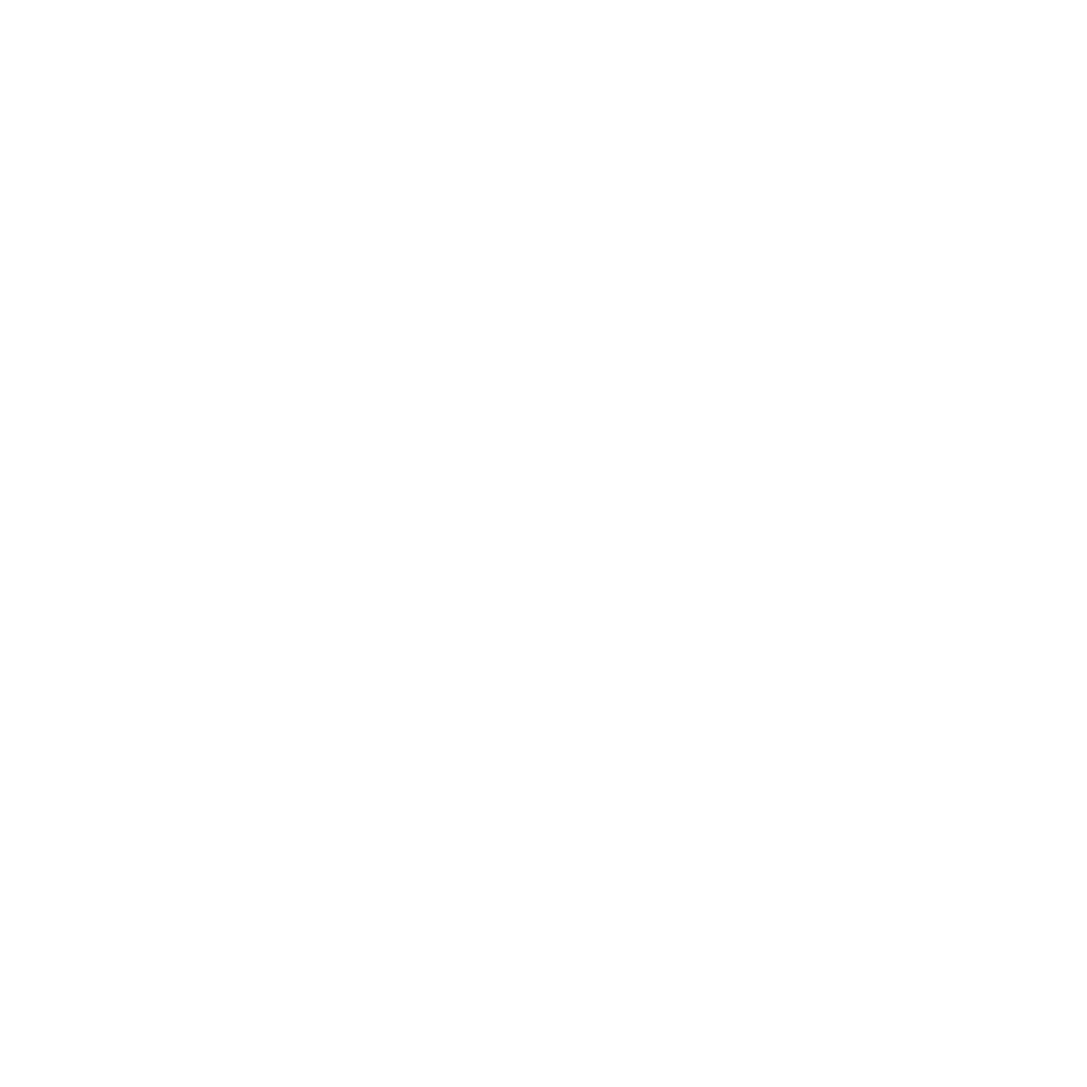 Vigilantes logo